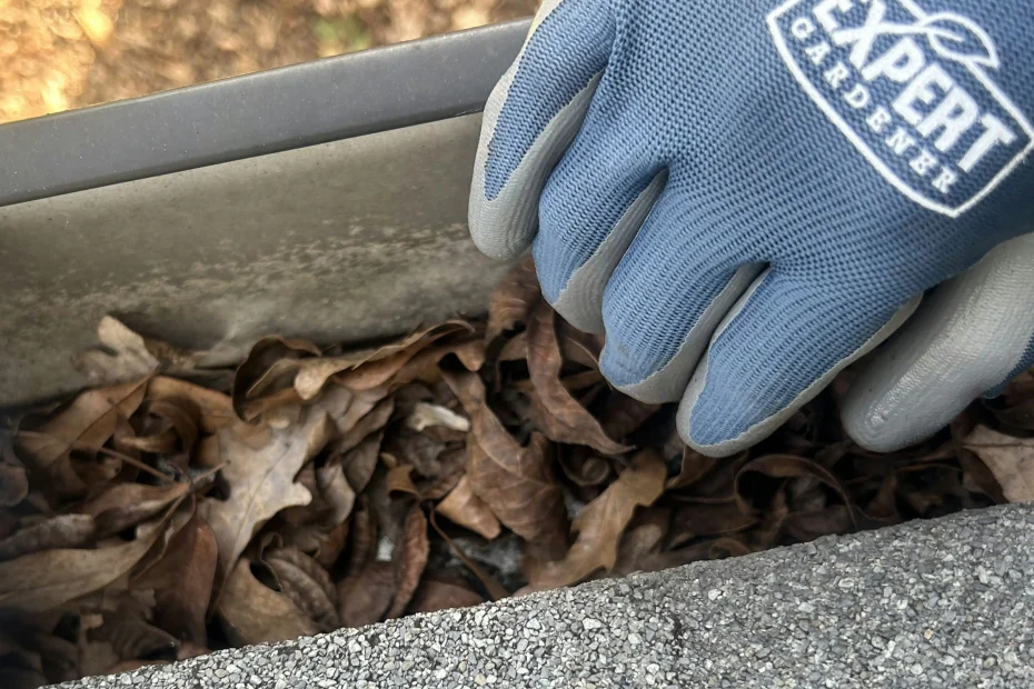 Gutter Cleaning Hollywood