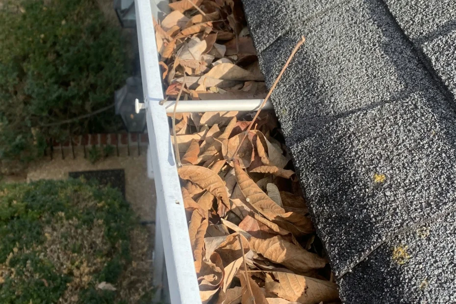 Gutter Cleaning Hollywood