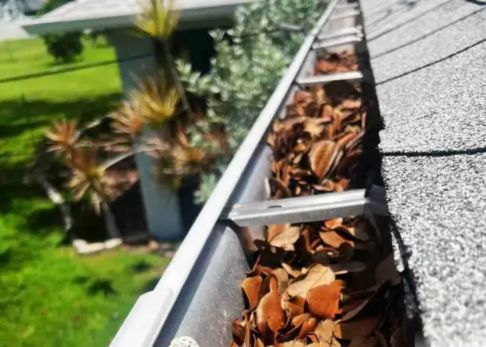 Gutter Cleaning Hollywood home page